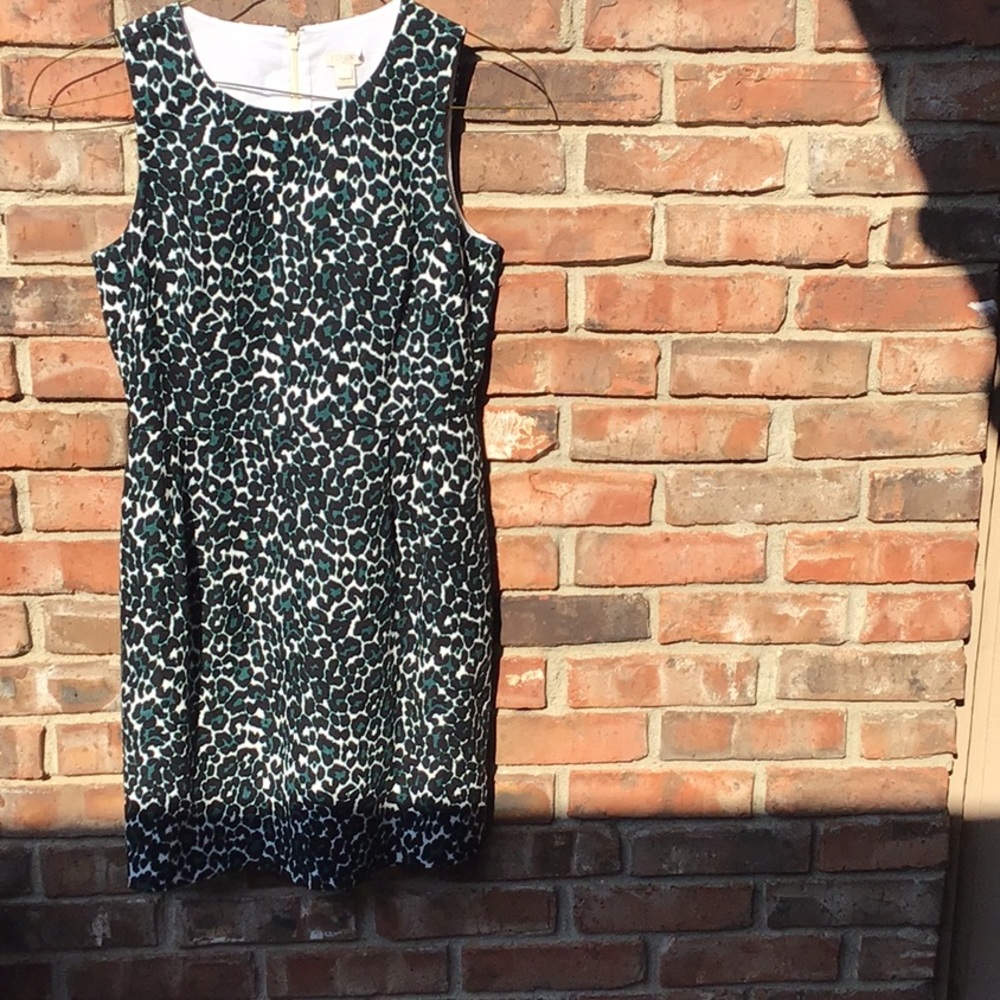 J Crew dress